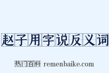 赵子用字说反义词是什么意思的图片